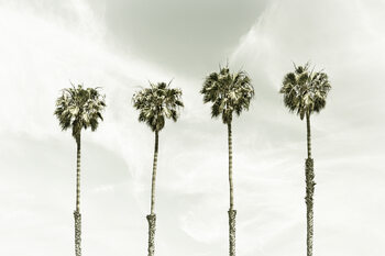 Minimalist Palm Trees | Vintage Fototapet