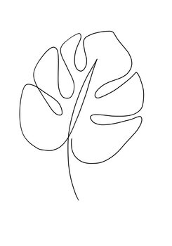 Ilustrare Monstera leaf art