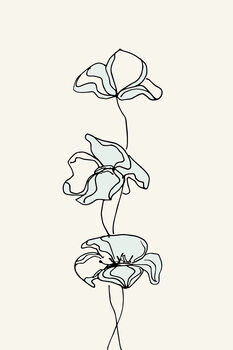 Illustration whiteflowers