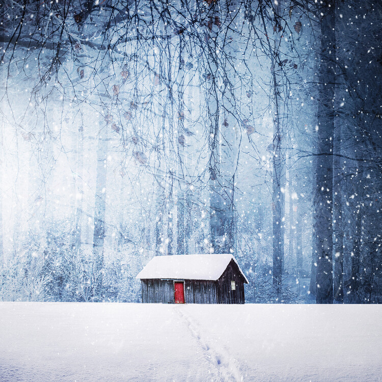 Kunstfotografie Winter
