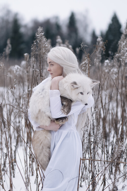 Umelecká fotografie Snow fox