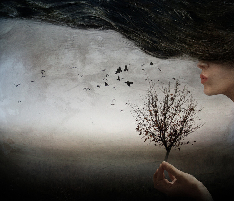 Arte Fotográfica Autumn mood
