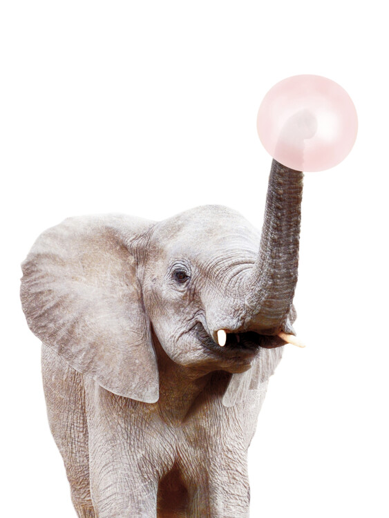 Fotografie de artă Elephant with bubble gum