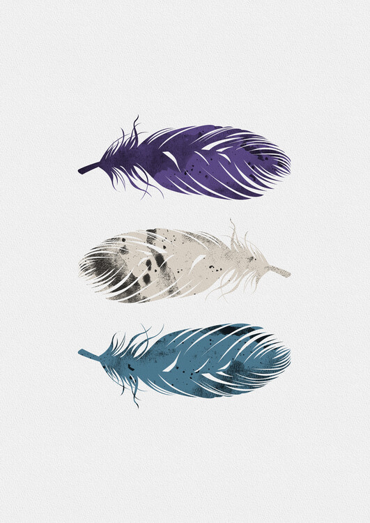 Illustration Blue Purple White Feathers