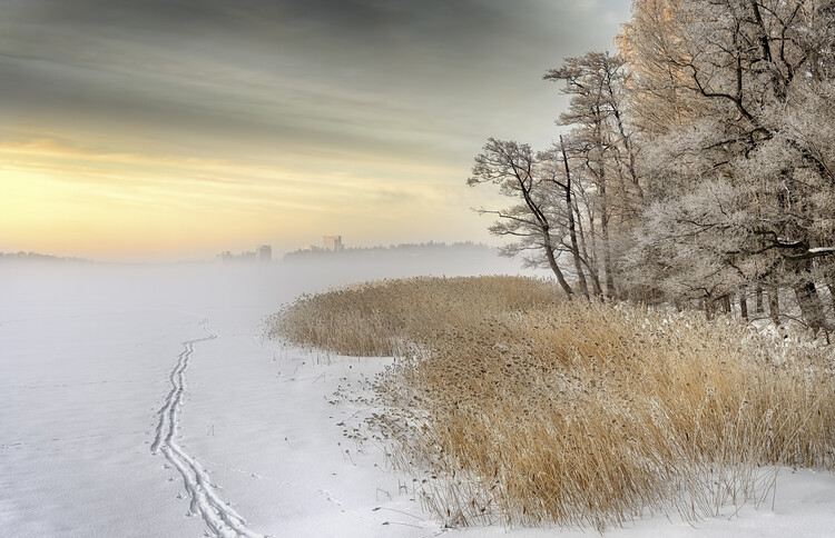 Canvas Print Misty winter morning