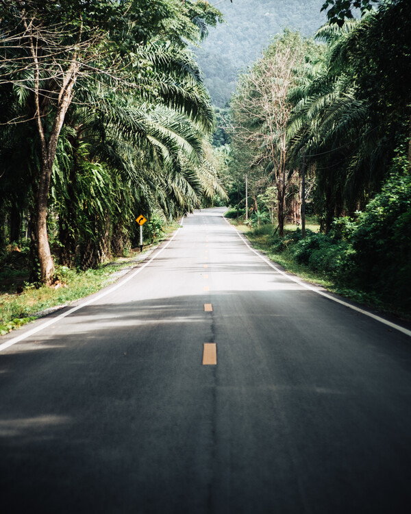 Художествена фотография The Good Road