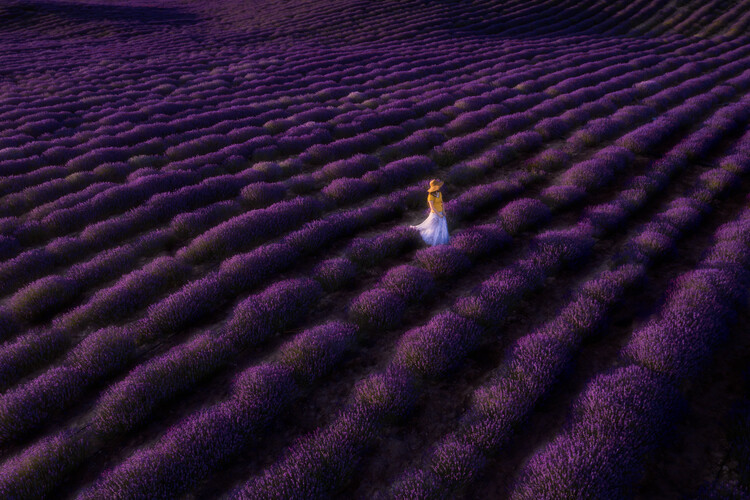 Художествена фотография The woman in lavender