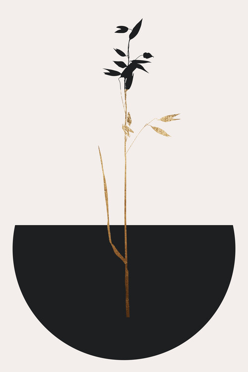 Ilustrácia Planta Negra