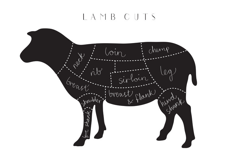 Ilustratie Lamb Cuts