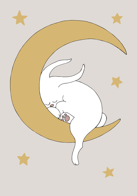 Illustration The Rabbit