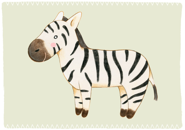 Ilustrácia Zebra