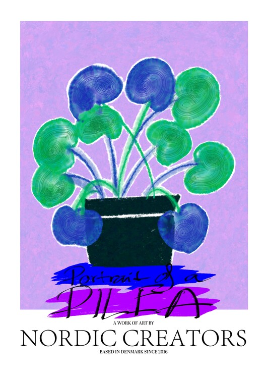Kuva Portait of a Pilea