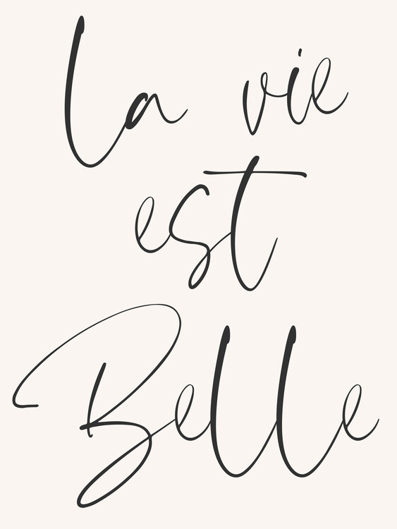 Illustration La vie est belle