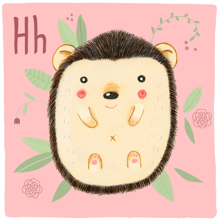 Ilustração Alphabet - Hedgehog