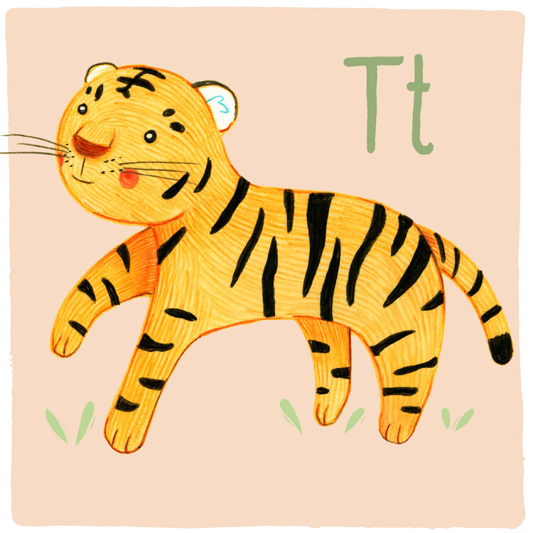 Ilustrare Alphabet - Tiger