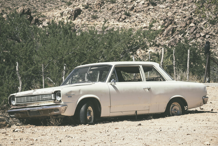 Art Photography American West - Old Rambler