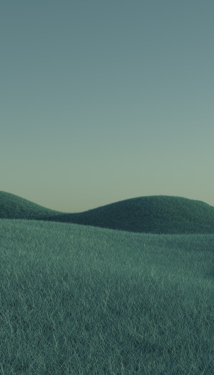 Art Photography Minimal landscpases of a green grass at with a gradient sky series  1