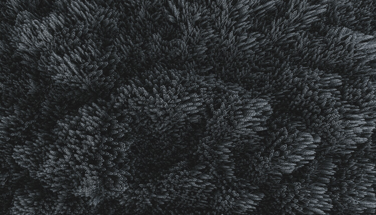 Papier peint Minimal interior with blue plants and water spheres on the top series 1