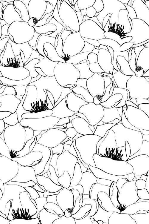 Ilustracja Magnolias