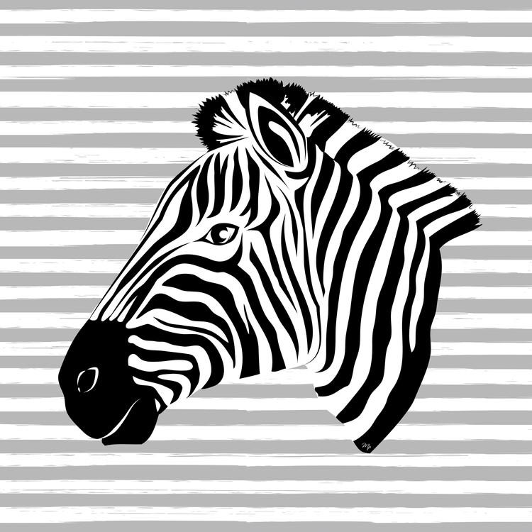 Illustration Watercolor illustration of Rainbow Zebra