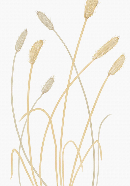 Illustration Bunny Grass 01