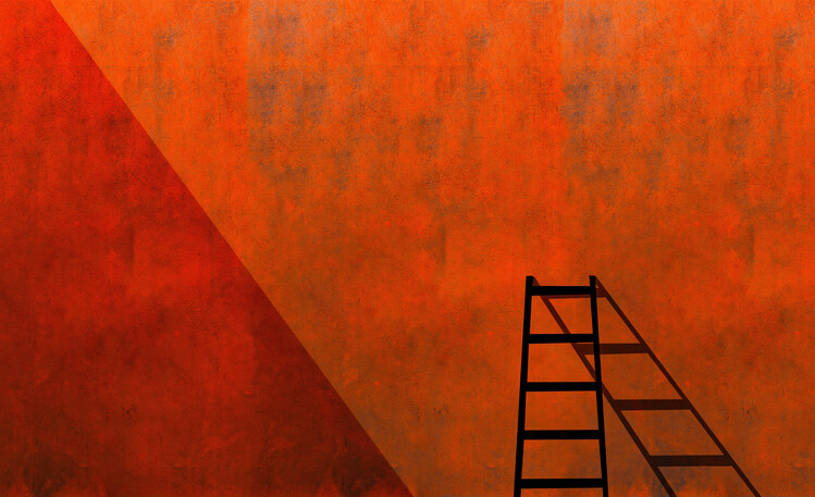 Kunstfotografi A ladder and its shadow
