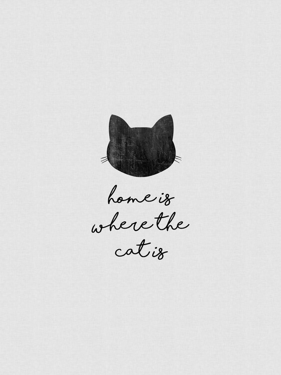 Ilustrácia Home Is Where The Cat Is
