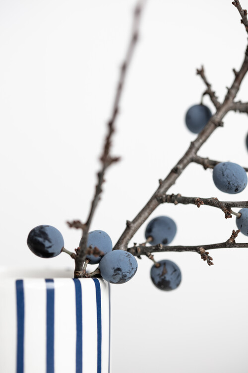 Fotografie Berries Blue, Studio Collection, (26.7 x 40 cm)