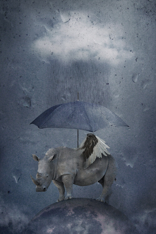 Arte Fotográfica under the rain