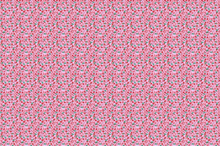 Illustration Pink Blossoms