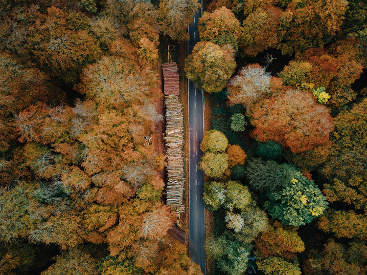 Umelecká fotografie Autumn forest road