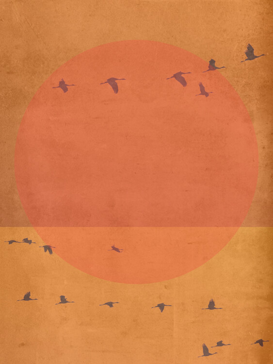 Illustration Sunset birds