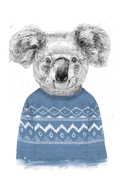 Ilustração Winter koala