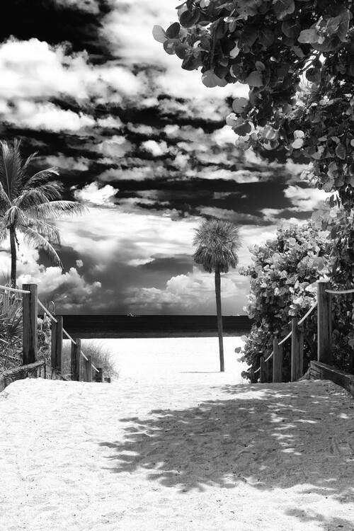 Arte Fotográfica Black Florida - Miami Private Beach