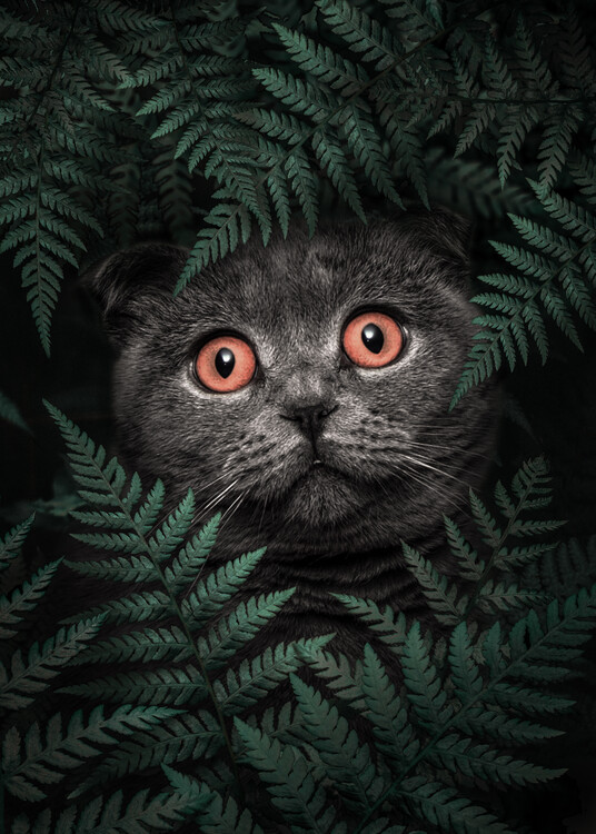 Tableau Mural British Shorthair - Déco Métal Rétro 40 Cm - Humour Chat Toilette, Pour Bar, Salon, Salle De Bain