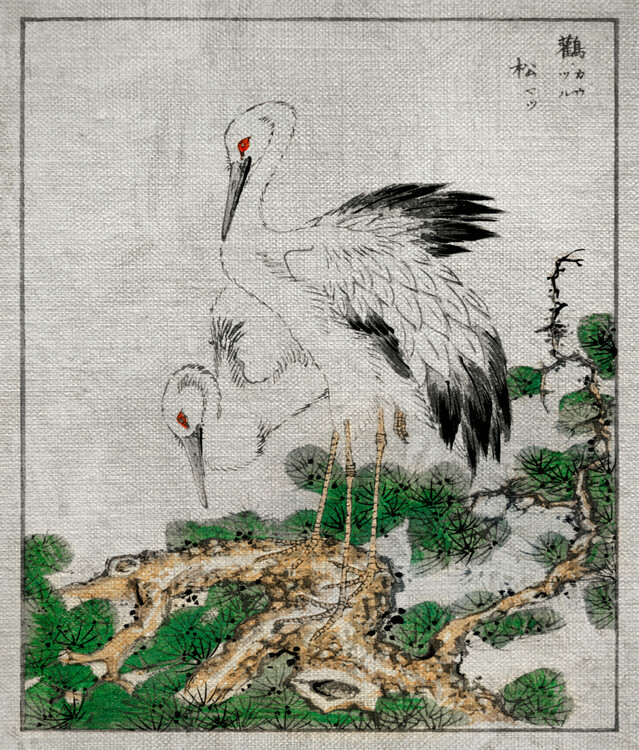 Ilustracja A Japanese Classic Illustration Art Of Storks And Pine Tree By Numata Kashu 1885.