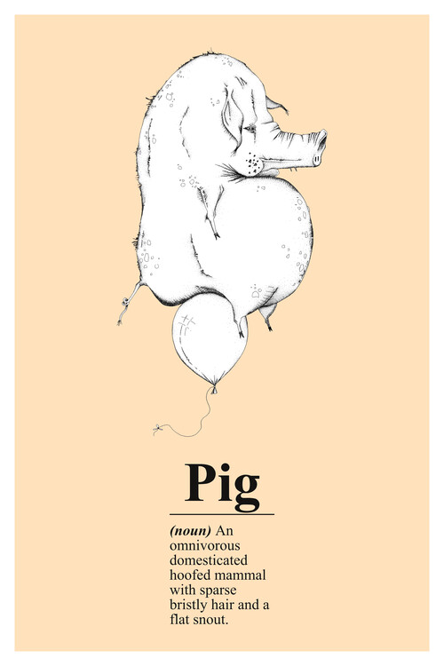 Canvas Print Pig
