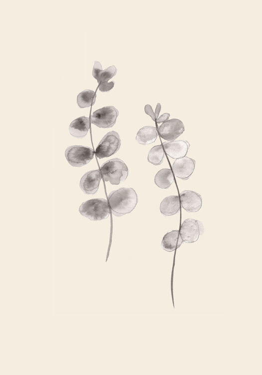 Canvas Print Eucalyptus Twigs