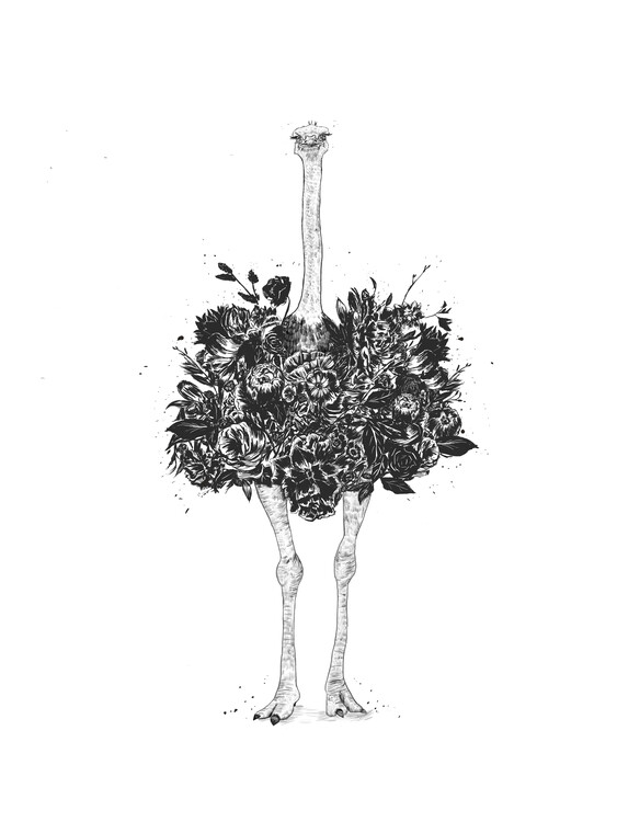 Wall Art Print | Floral ostrich | Europosters Wall Art Print | Floral ostrich | Europosters