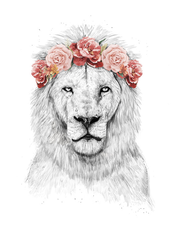 Ilustrare Festival lion