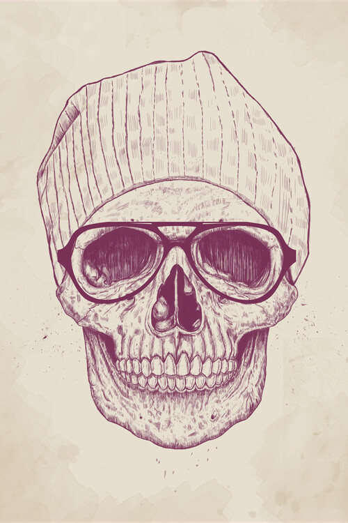 Ilustratie Cool skull