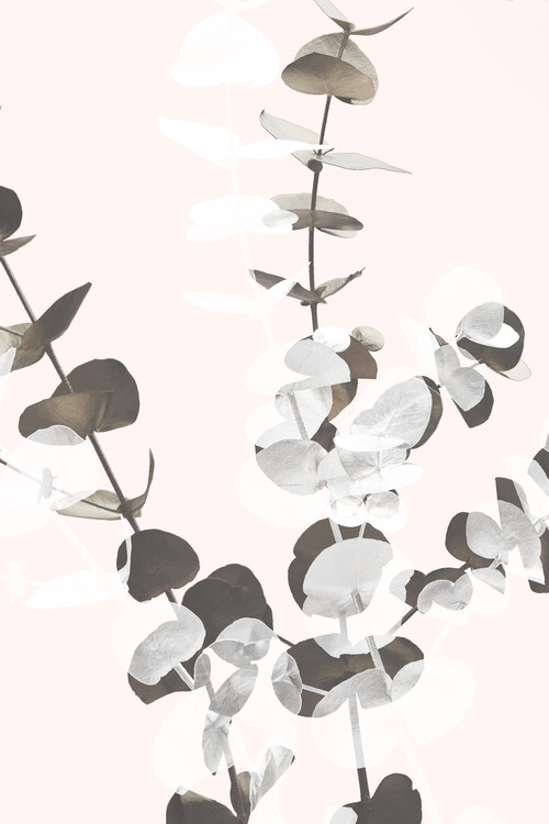 Canvas Print Eucalyptus Creative 12