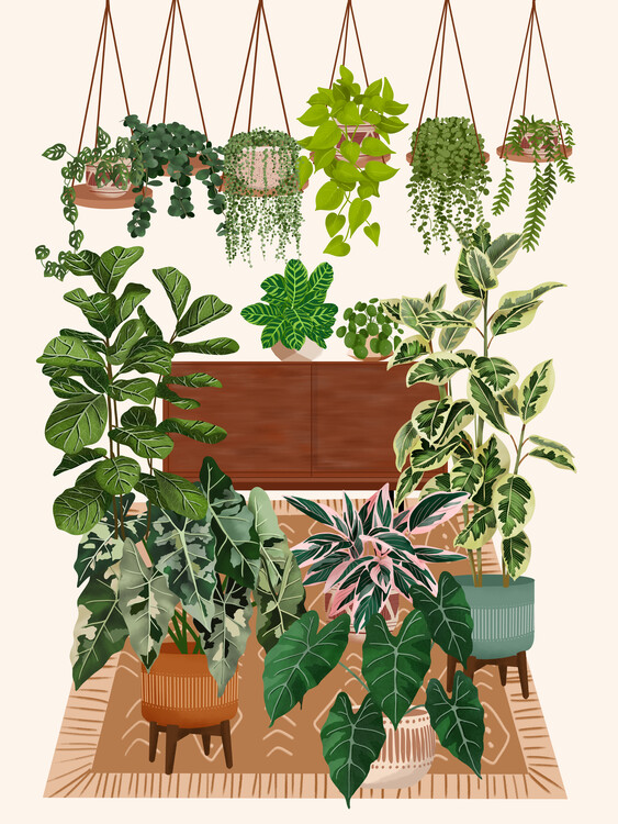 Ilustracija House Plant Collection