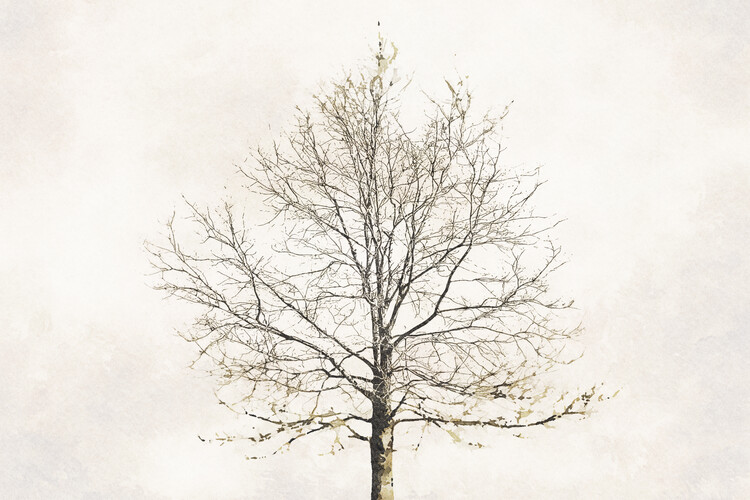 Illustration Silhouette of dry oak tree