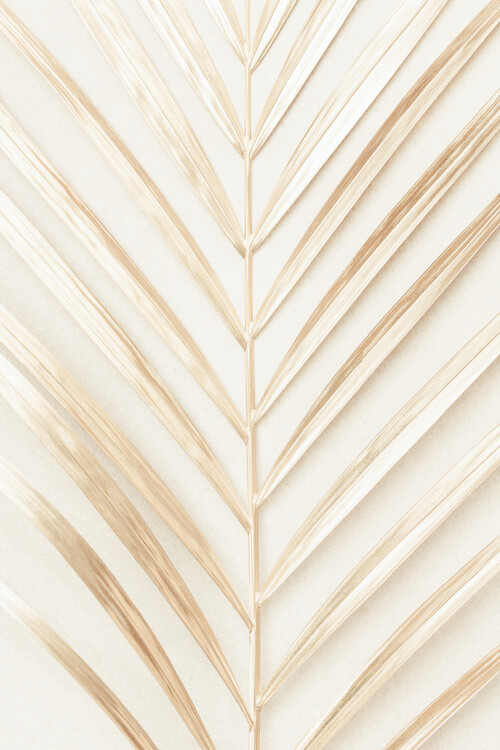 Художествена фотография Golden Palm Leaf