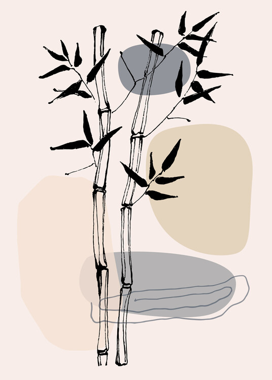 Ilustração Bamboo