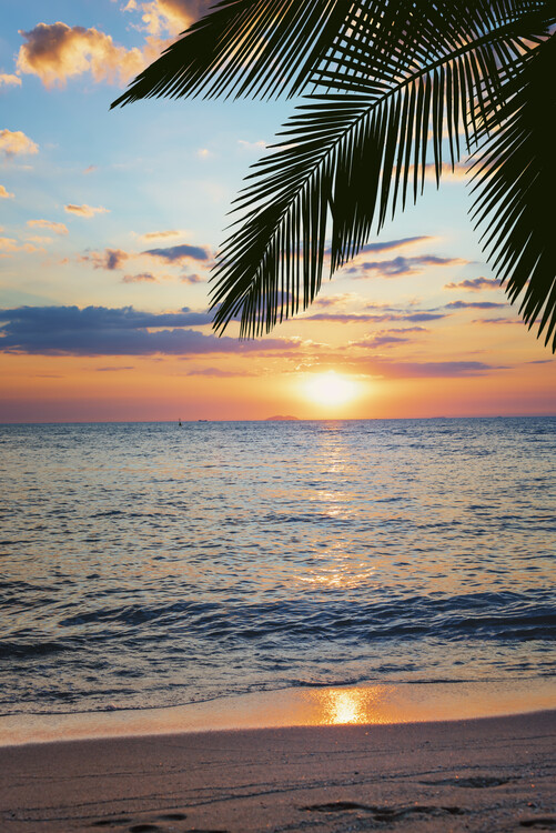 Художествена фотография Beach Sunset