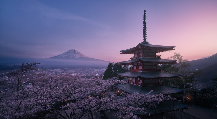 Художествена фотография Mt Fuji Sakura