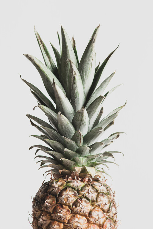 Umelecká fotografie Pineapple Natural