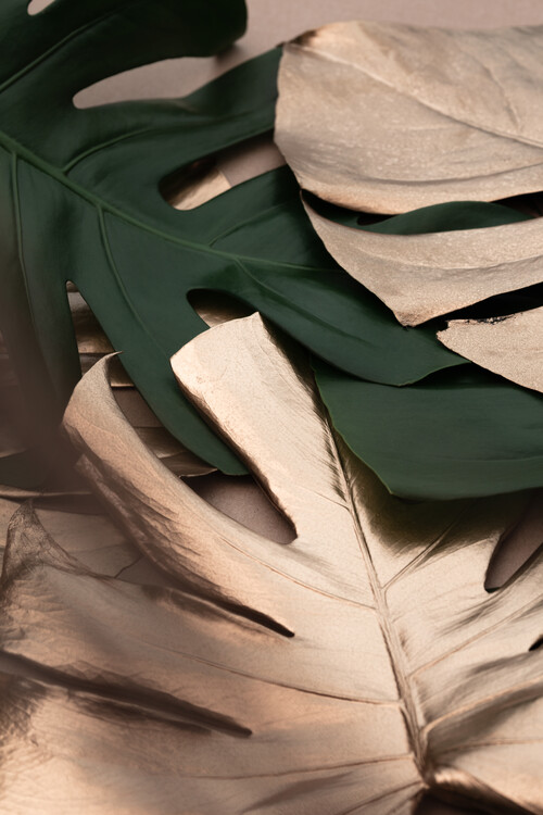 Illustration Monstera Mix 01